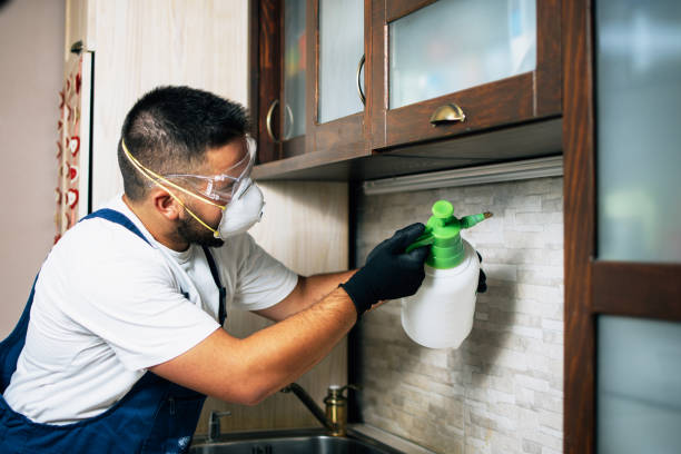 Best Bed Bug Extermination  in Berino, NM