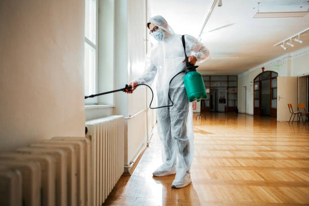 Best Best Pest Control Companies  in Berino, NM