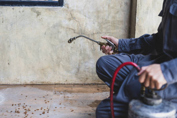 Best Emergency Pest Control  in Berino, NM